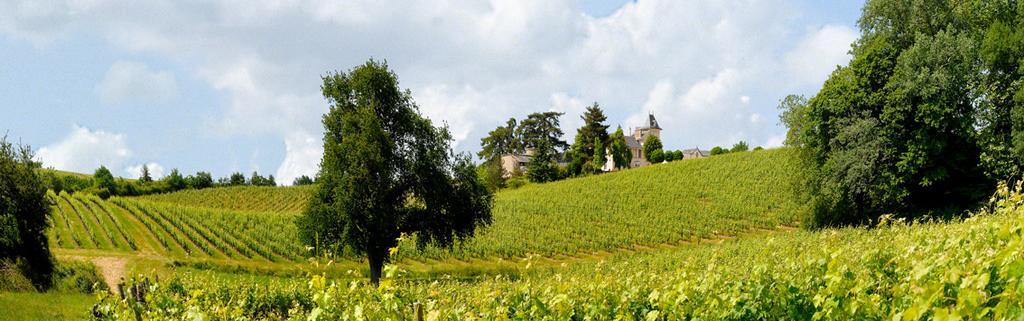 Domaine De La Soucherie - Chambres D'Hotes Beaulieu-sur-Layon Exterior photo
