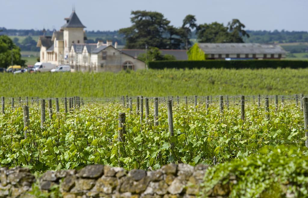 Domaine De La Soucherie - Chambres D'Hotes Beaulieu-sur-Layon Exterior photo