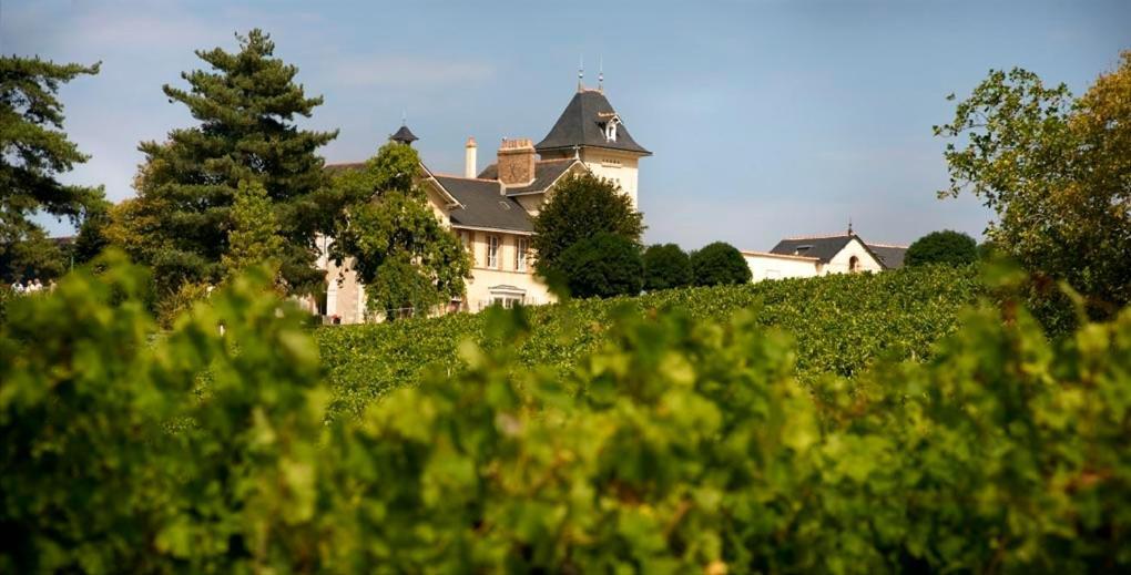 Domaine De La Soucherie - Chambres D'Hotes Beaulieu-sur-Layon Exterior photo